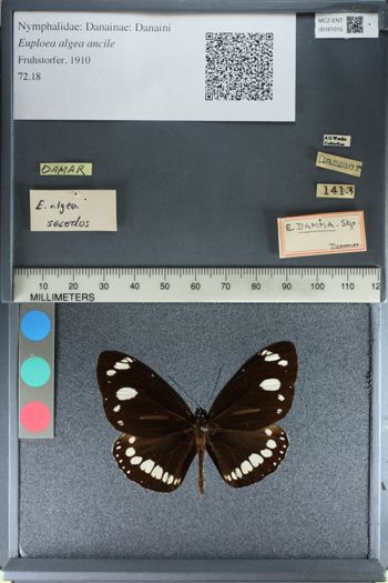 Media type: image;   Entomology 161015